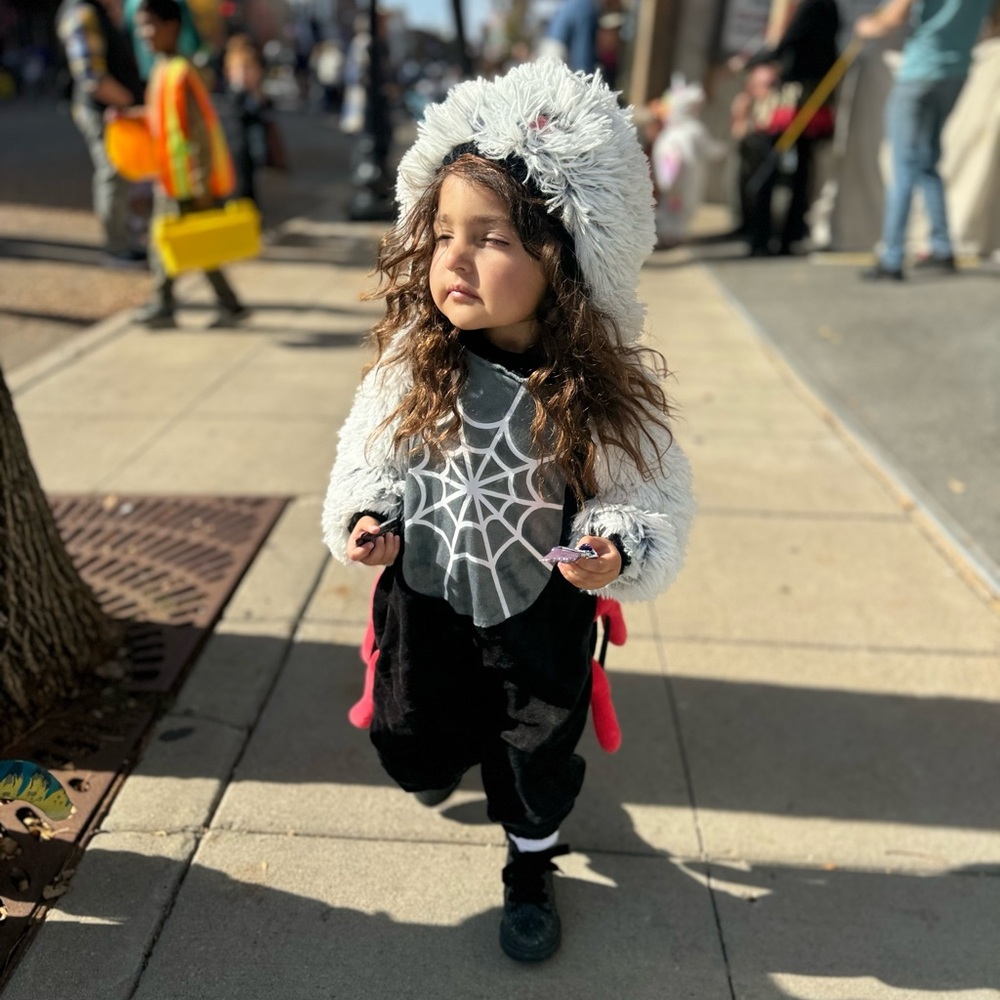 (B39) Target spider costume